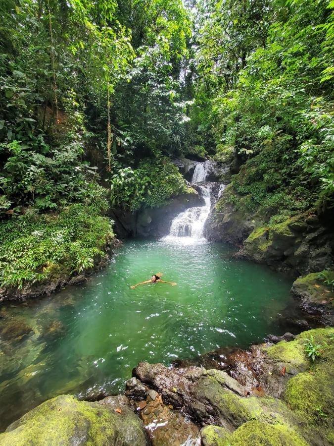 Posada El Esfuerzo Nuqui Bagian luar foto
